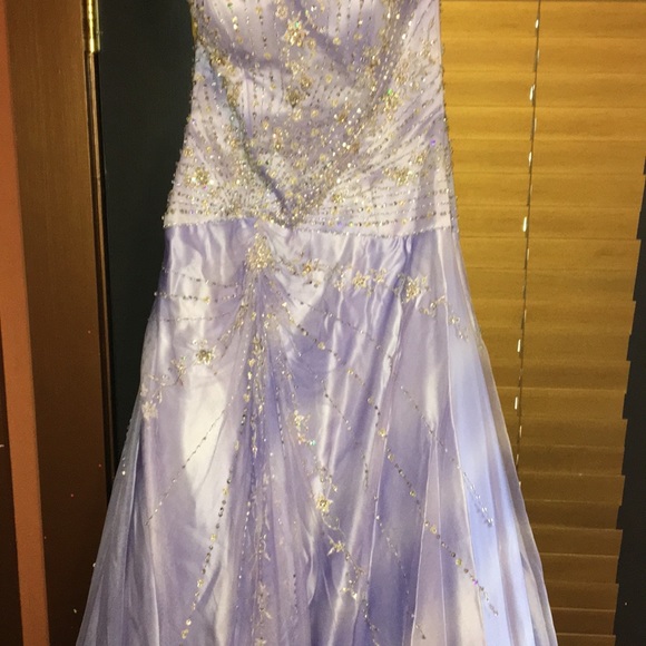 Dress Pageant/Formal - Picture 3 of 4